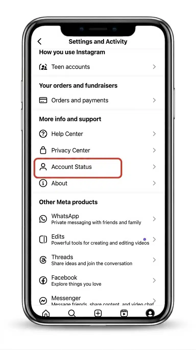 Instagram Account Status settings screen