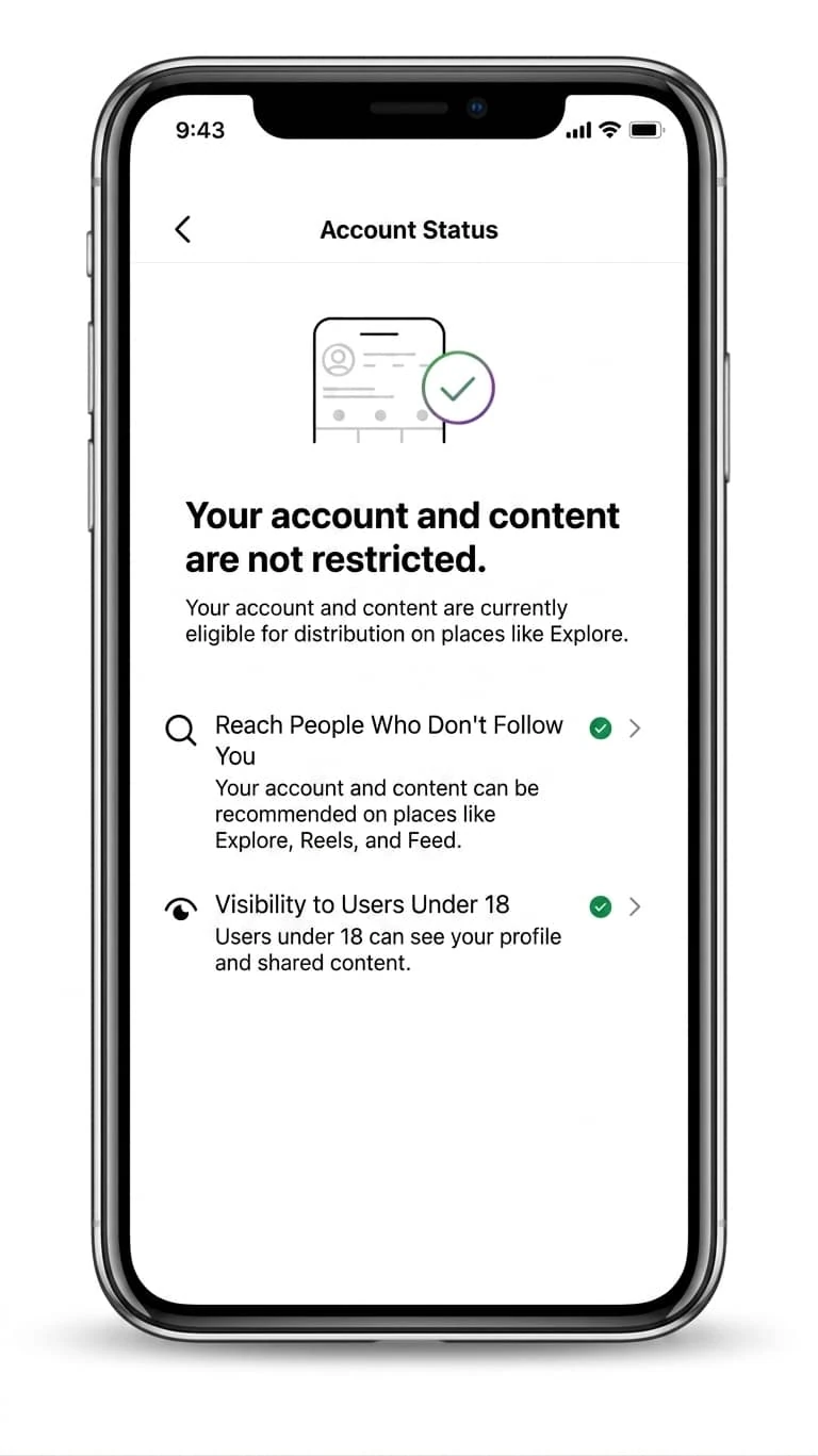 Instagram Account Status main screen